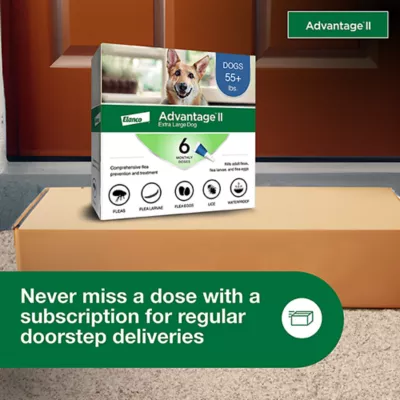 Advantage® II Flea Prevention & Treatment for Extra Large Dogs over 55 lbs, Monthly Doses - Image 6