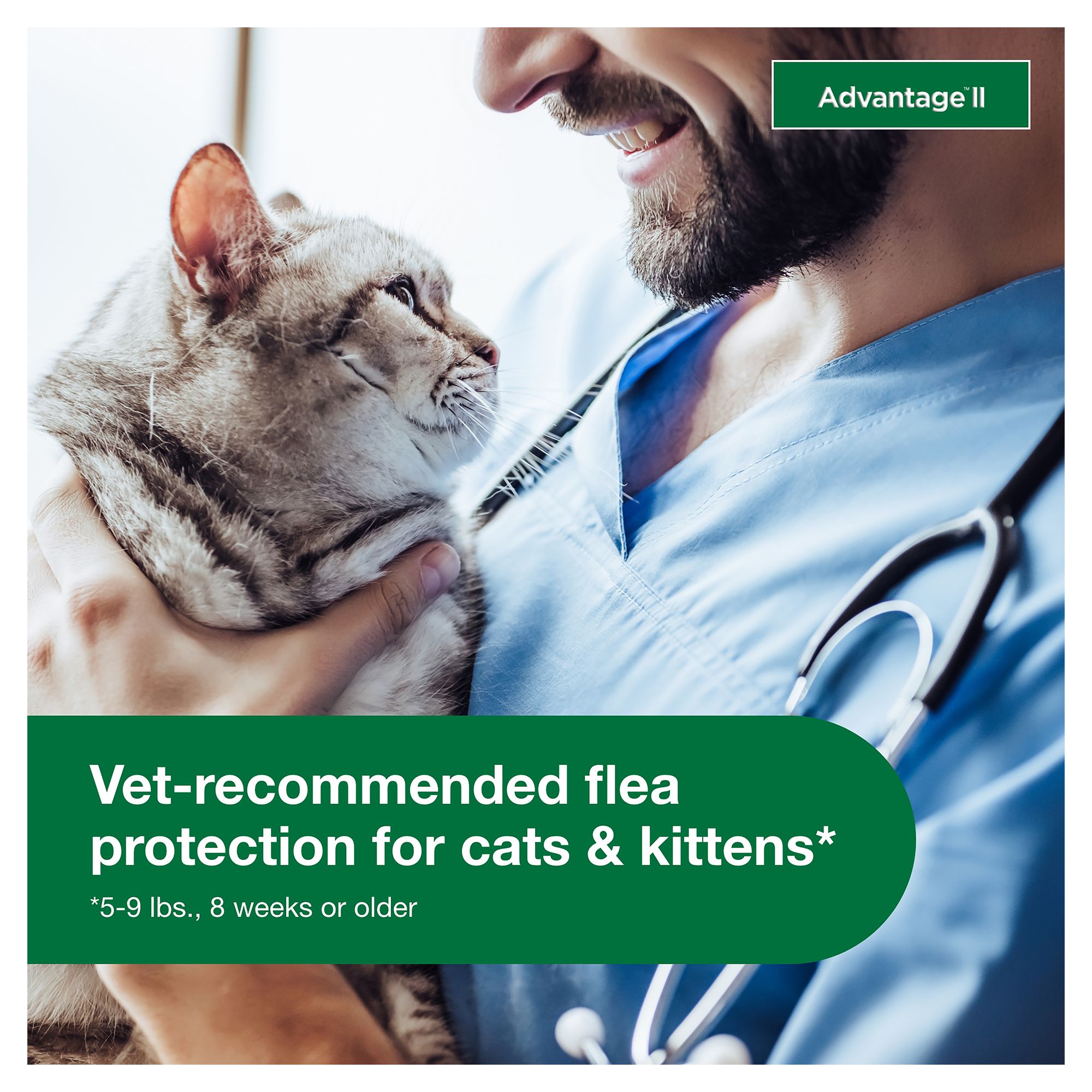 bayer advantage ii flea prevention for cats