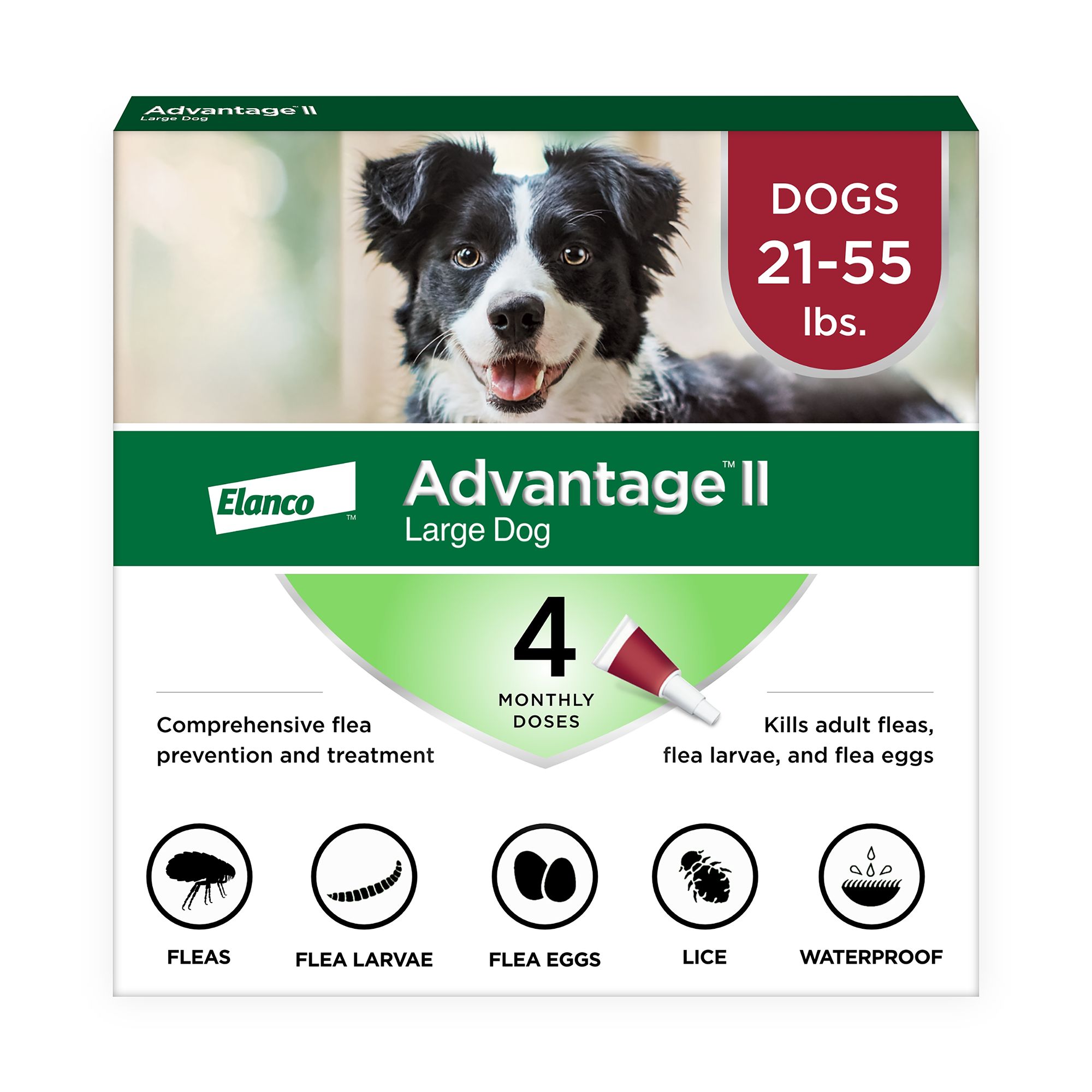 Advantage® II 21-55 lbs Dog Flea \u0026 Lice 