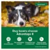 Advantage® II Flea Prevention & Treatment for Large Dogs 21-55 lbs, Monthly Doses image thumbnail 3