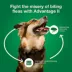 Advantage® II Flea Prevention & Treatment for Large Dogs 21-55 lbs, Monthly Doses image thumbnail 8