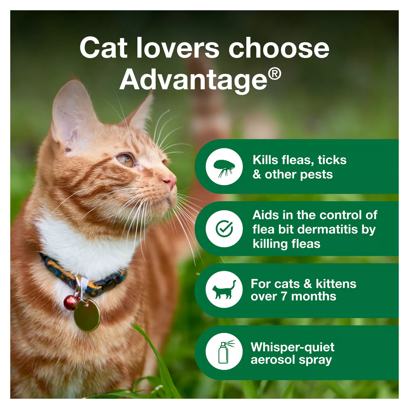 Advantage tick for cats best sale