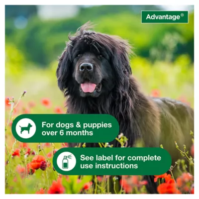 Product Advantage® Flea & Tick Dog Treatment Spray