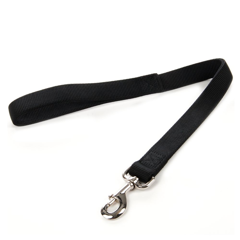 Top Paw® Traffic Length Dog Leash dog Leashes PetSmart