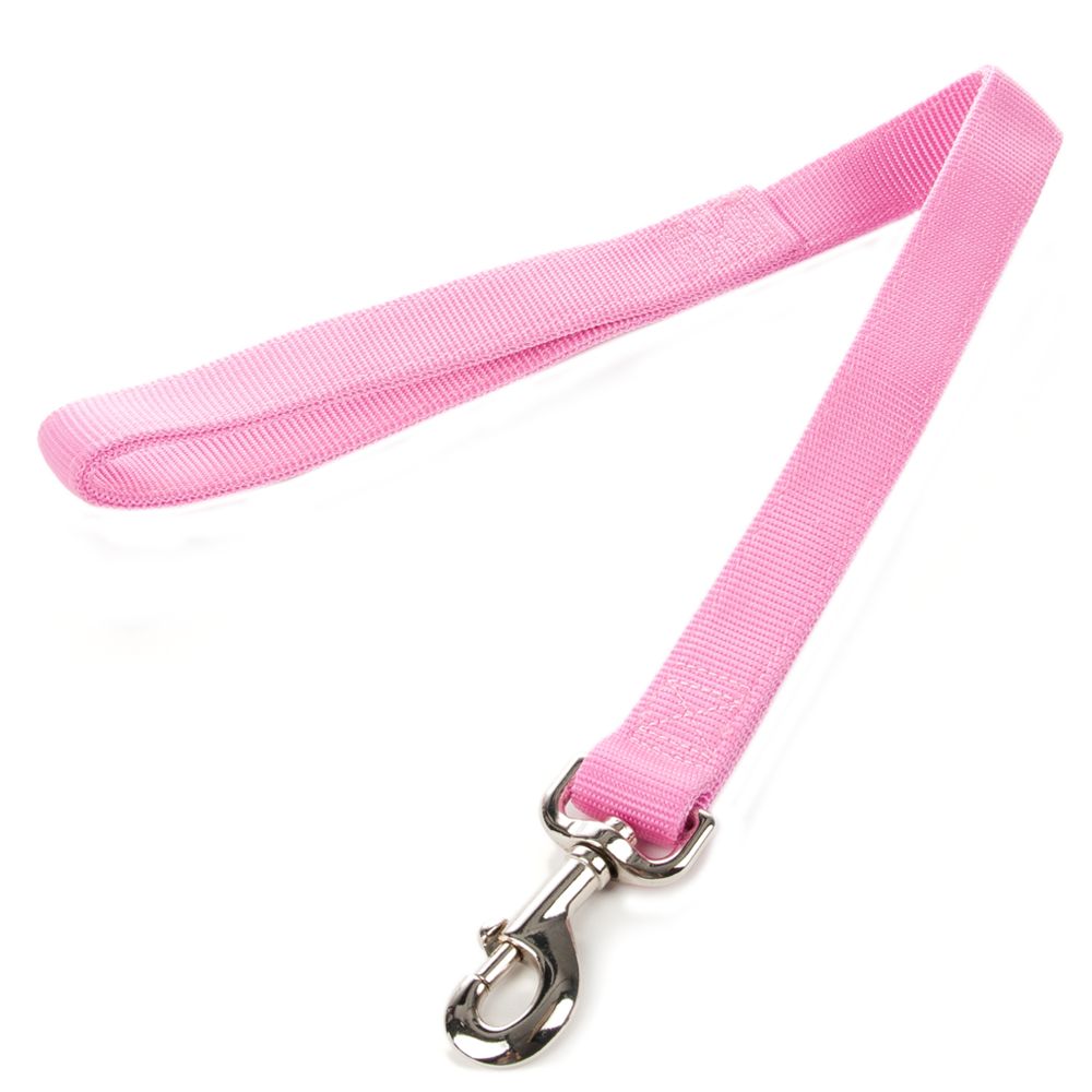 petsmart leashes