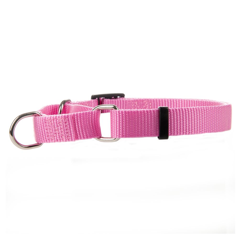 puppy slip collar