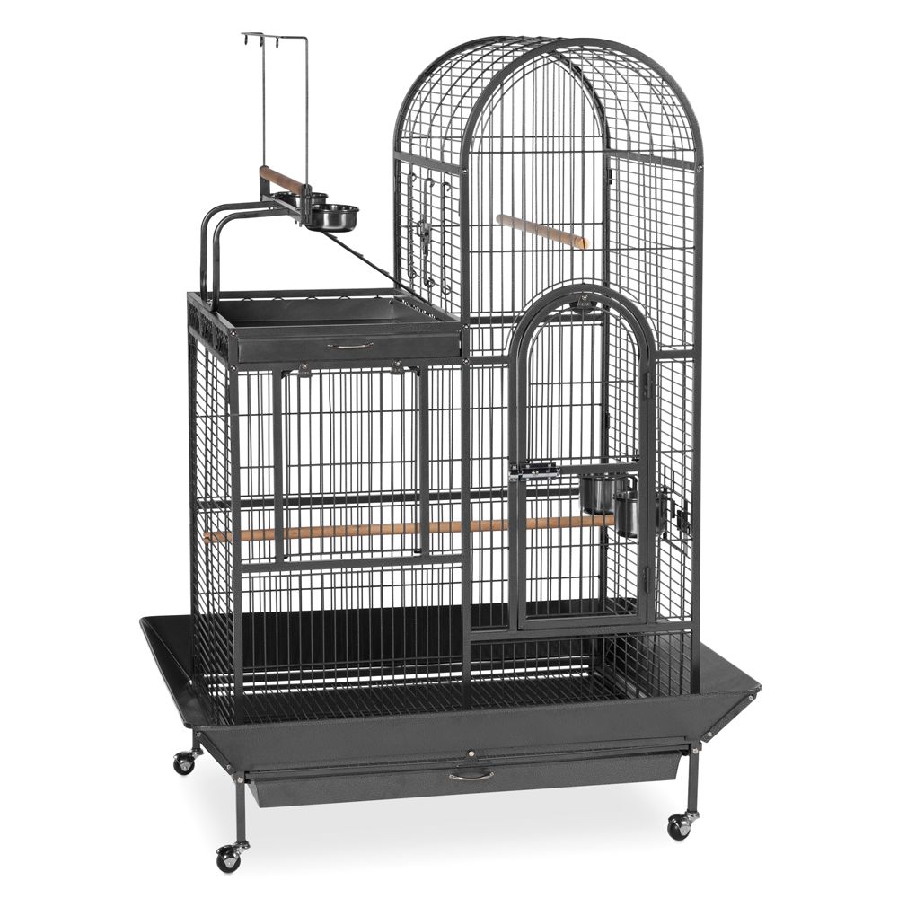 Petsmart on sale parrot cage