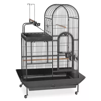 Petsmart budgie cages hotsell