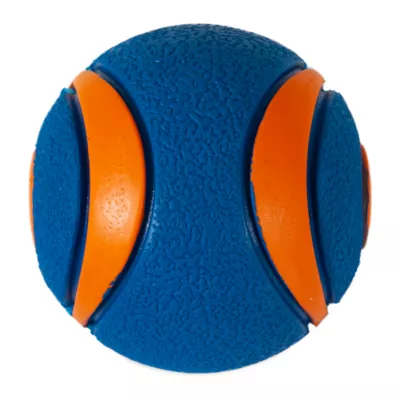 Product Chuckit!® Ultra Squeaker Ball Dog Toy