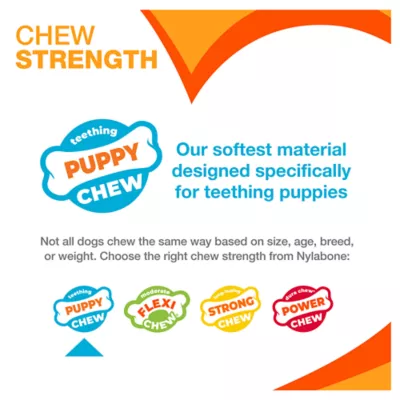 Product Nylabone® Puppy Chew Dental Dog Bone