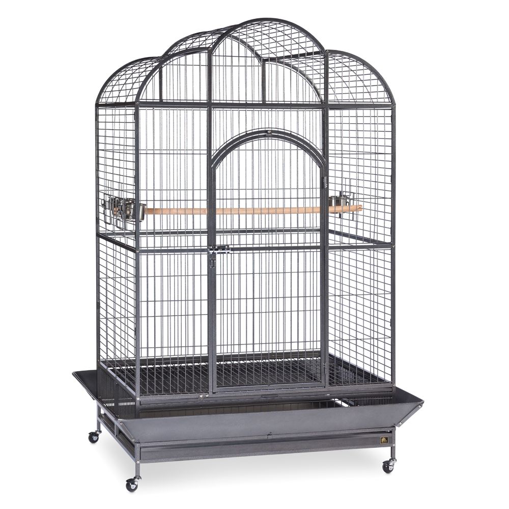 Bird store cages petsmart