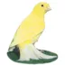Canary image thumbnail 1