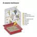 Canary image thumbnail 3