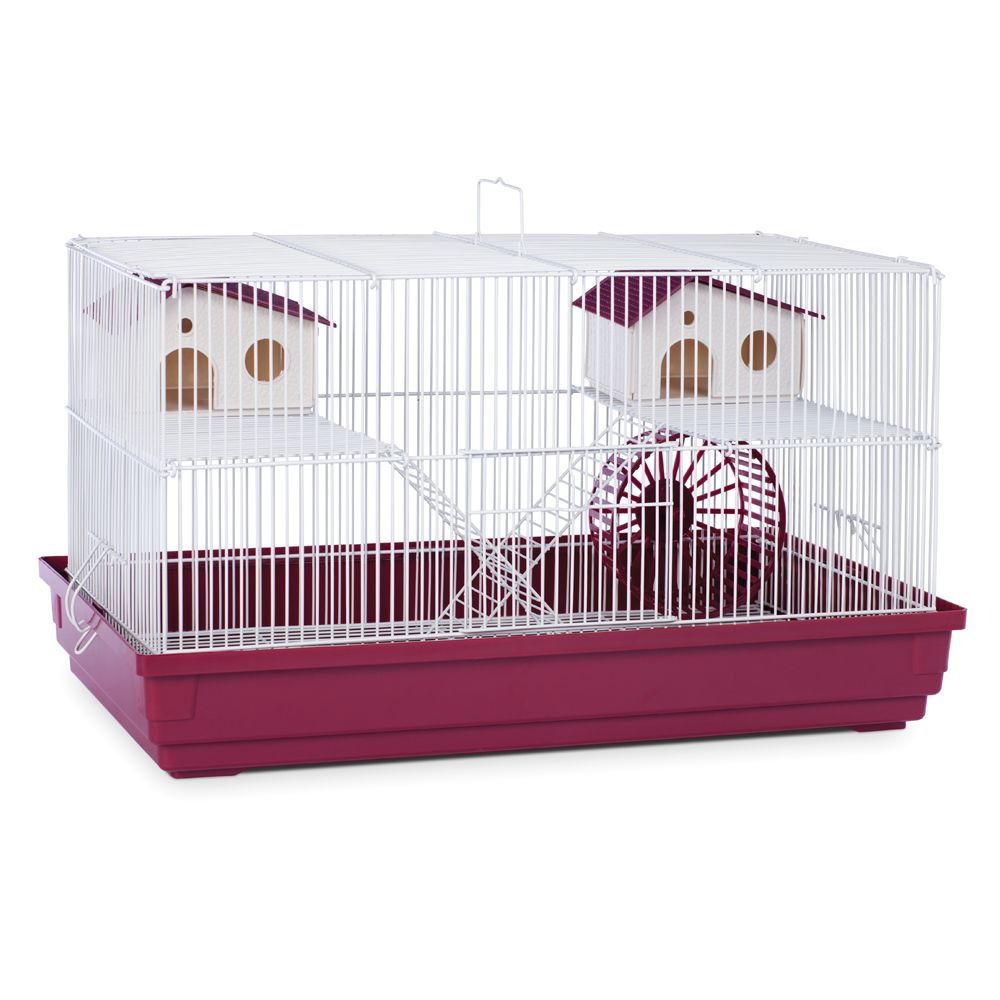 petsmart hamster cage