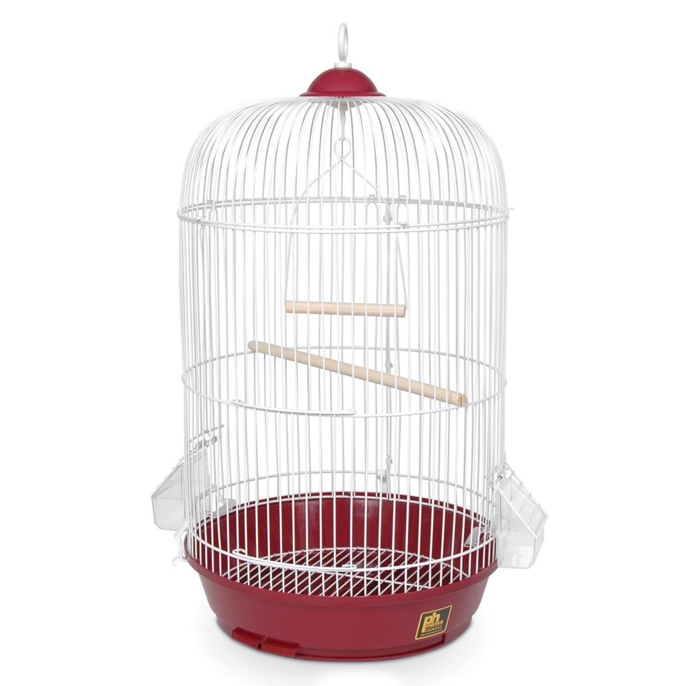 Petsmart cockatiel outlet cage