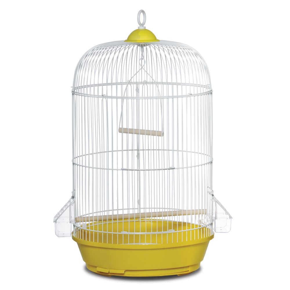 Petsmart large 2025 bird cages