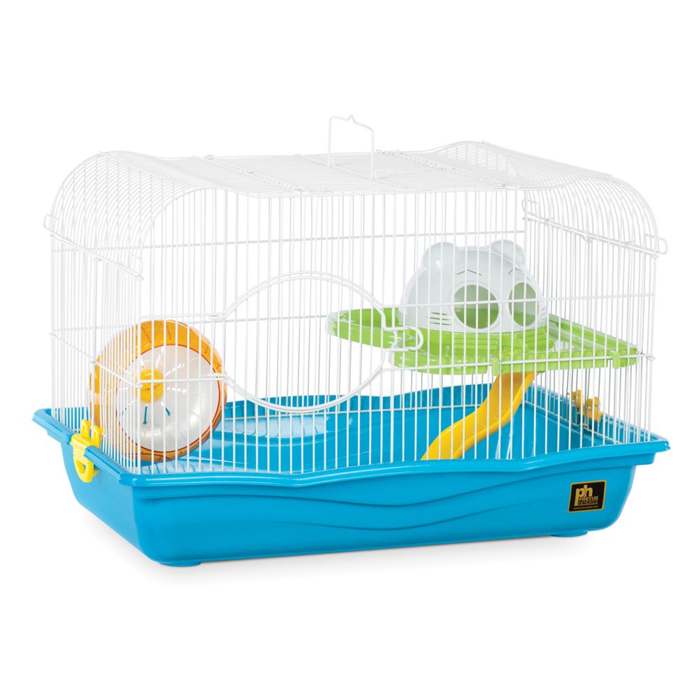 Hamster stuff at petsmart best sale