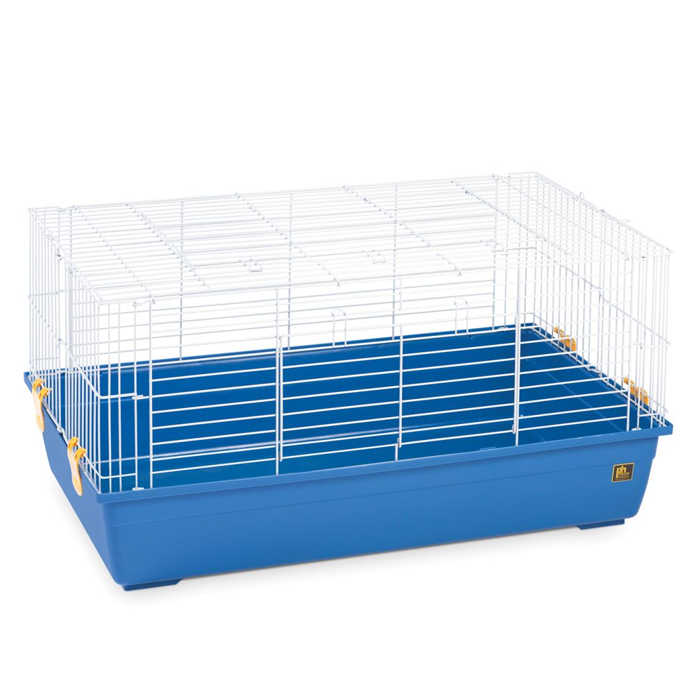 hedgehog cages petsmart