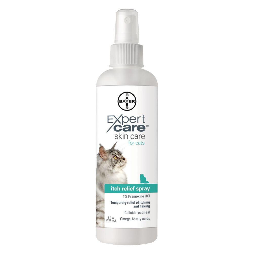 shampoo for cats with scabs