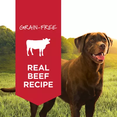 Product Instinct® Original All Life Stages Wet Dog Food - Grain Free