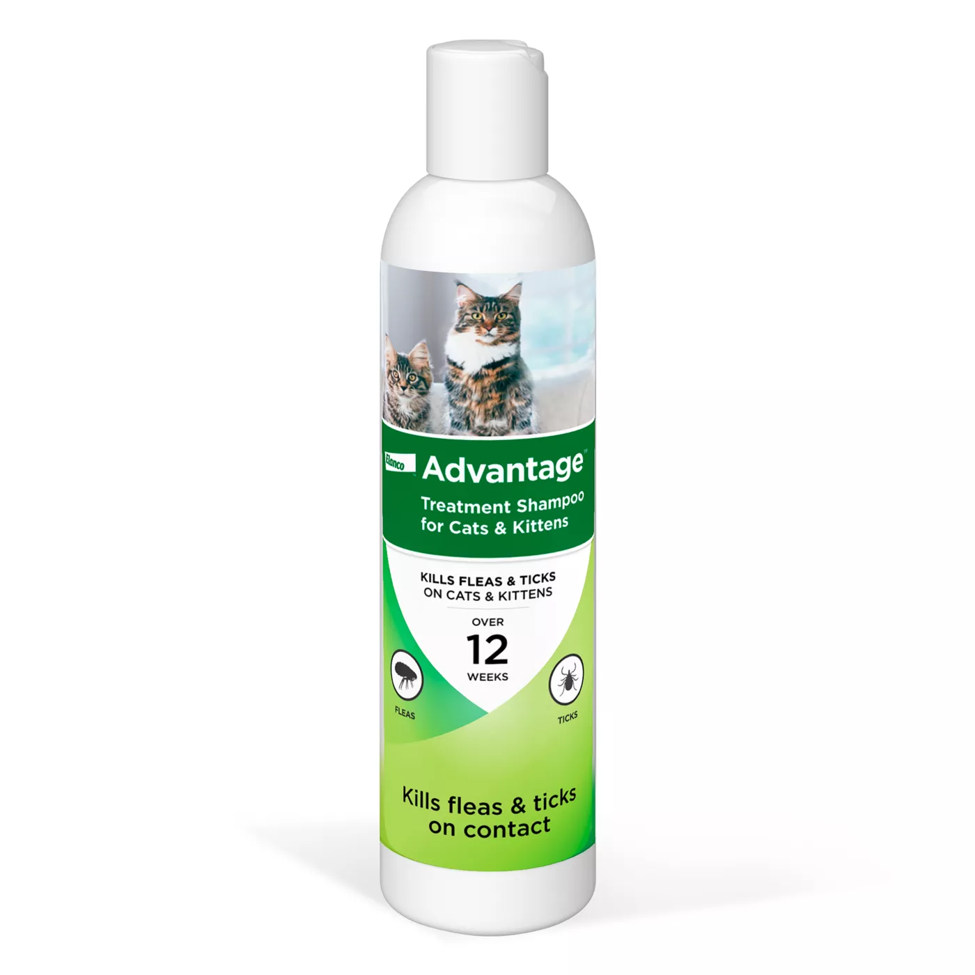 Flea remedies for kittens under 12 weeks best sale