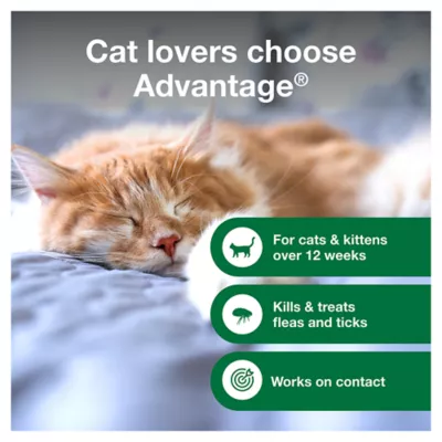 Product Advantage® Flea & Tick Kitten and Cat Shampoo