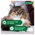 Advantage® Flea & Tick Kitten and Cat Shampoo image thumbnail 4