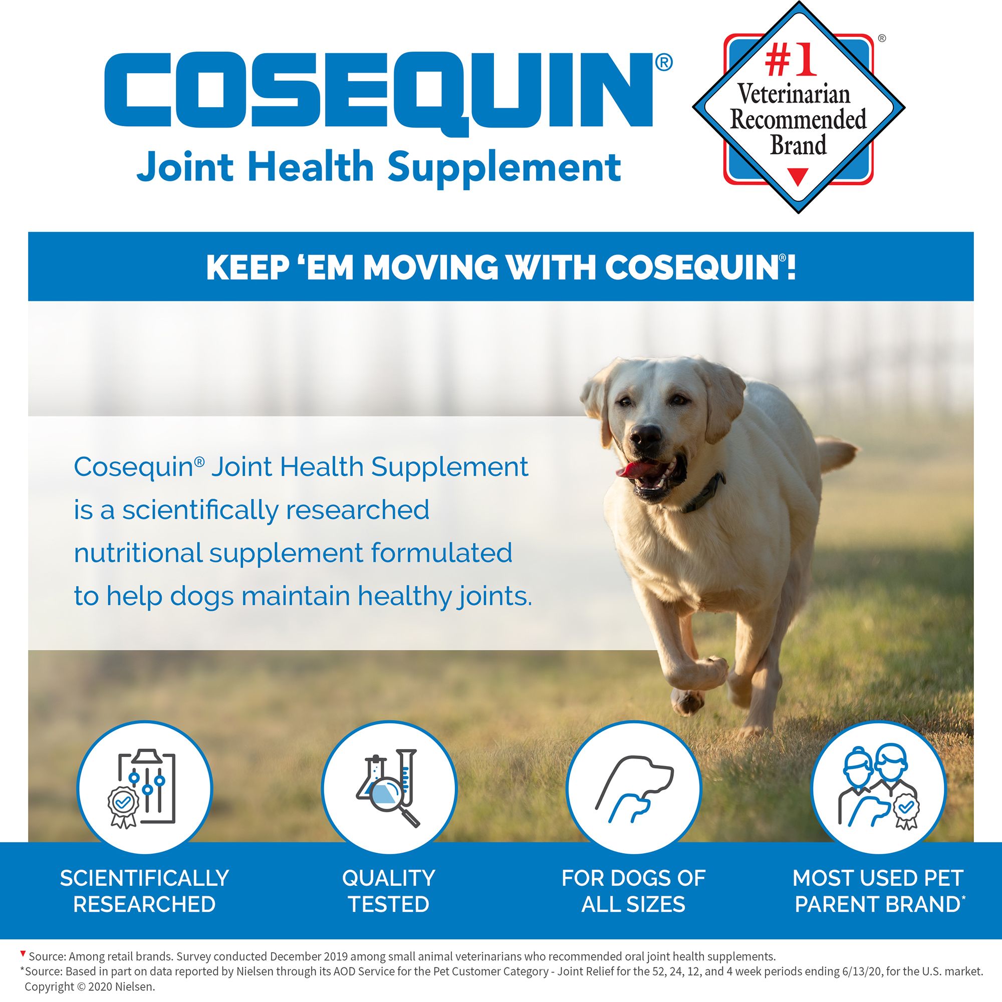 dog pills for joints