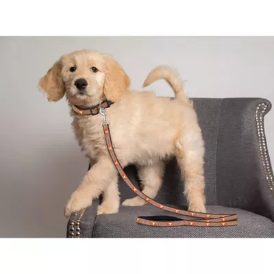 Product University of Texas Longhorn NCAA Leash