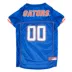 Florida Gators NCAA Jersey image thumbnail 1