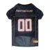 Illinois Fighting Illini NCAA Jersey image thumbnail 1