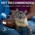 Advantage® II Flea Prevention & Treatment for Small Cats 5-9 lbs, Monthly Doses image thumbnail 9