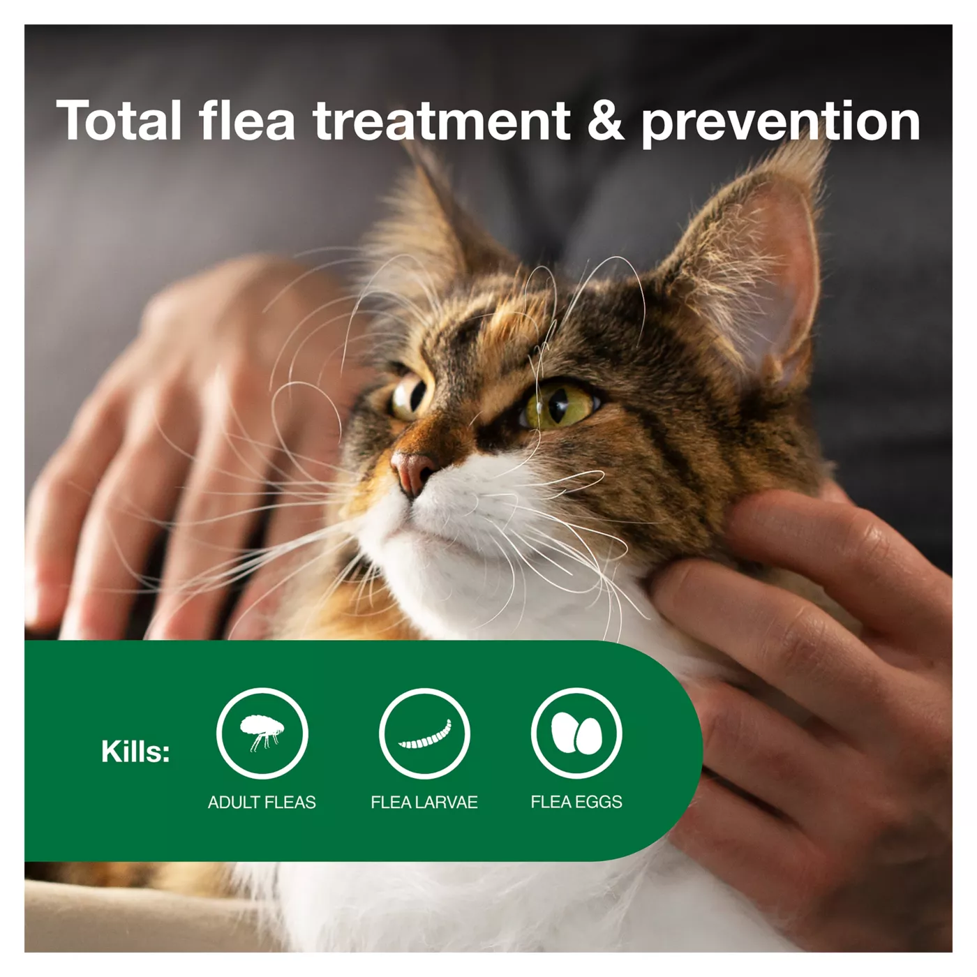 Advantage II Over 9 lbs Cat Flea Prevention Treatment