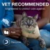Advantage® II Over 9 lbs Cat Flea Prevention & Treatment image thumbnail 9