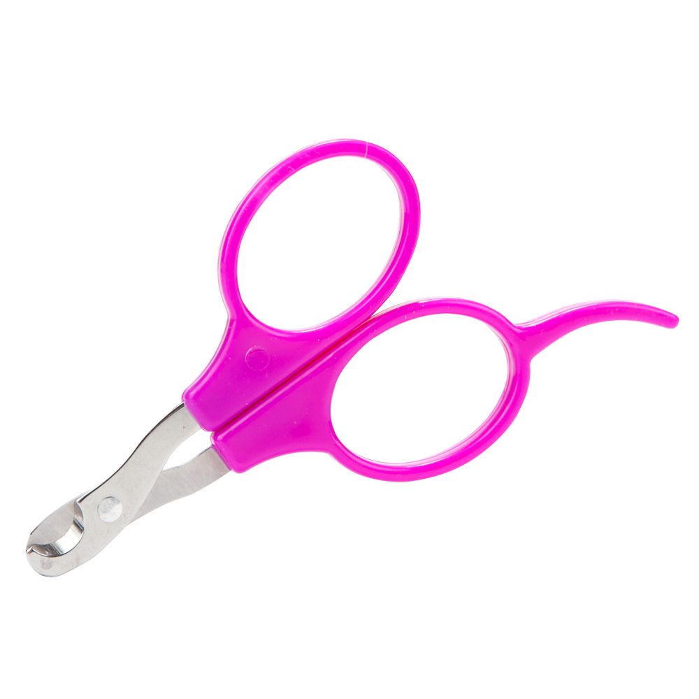 pet nail scissors