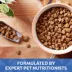 Nature's Recipe Dry Dog Food Adult - Chicken, Sweet Potato, Pumpkin image thumbnail 4