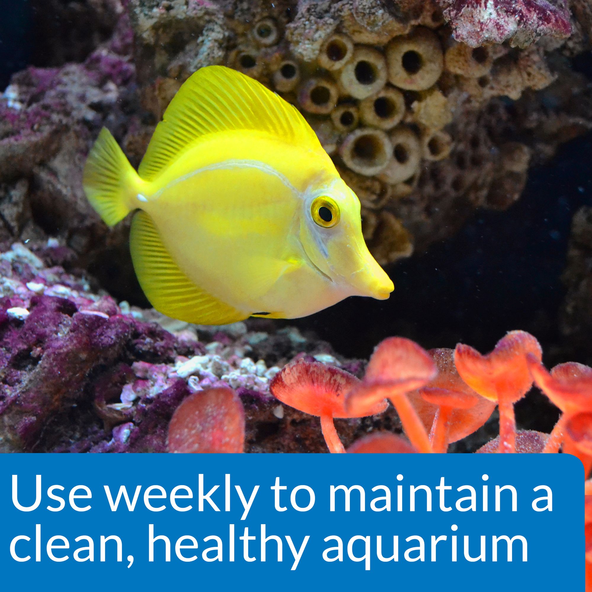 API® Marine Stress Zyme for Saltwater Aquariums - thumbnail 3