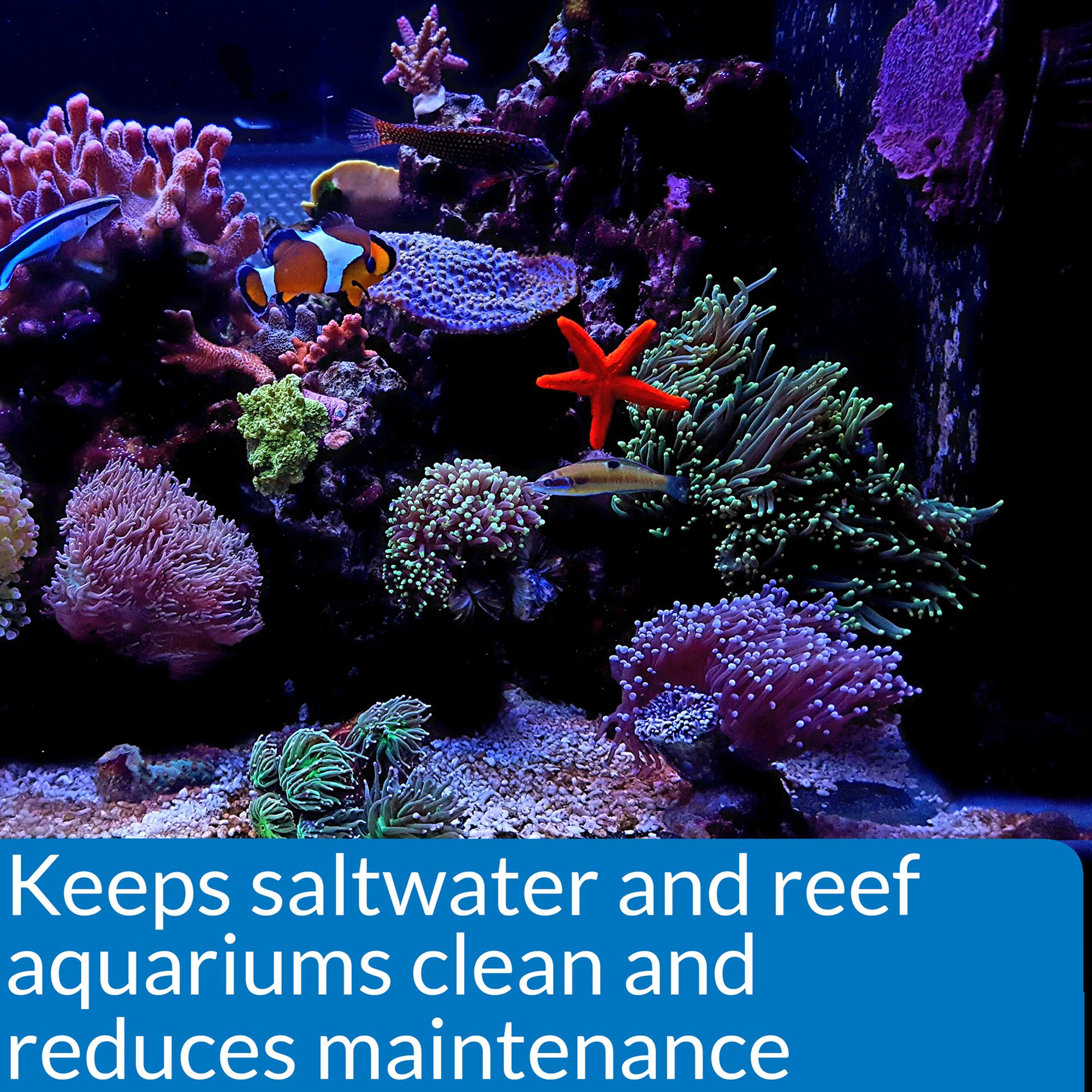 API® Marine Stress Zyme for Saltwater Aquariums - thumbnail 4