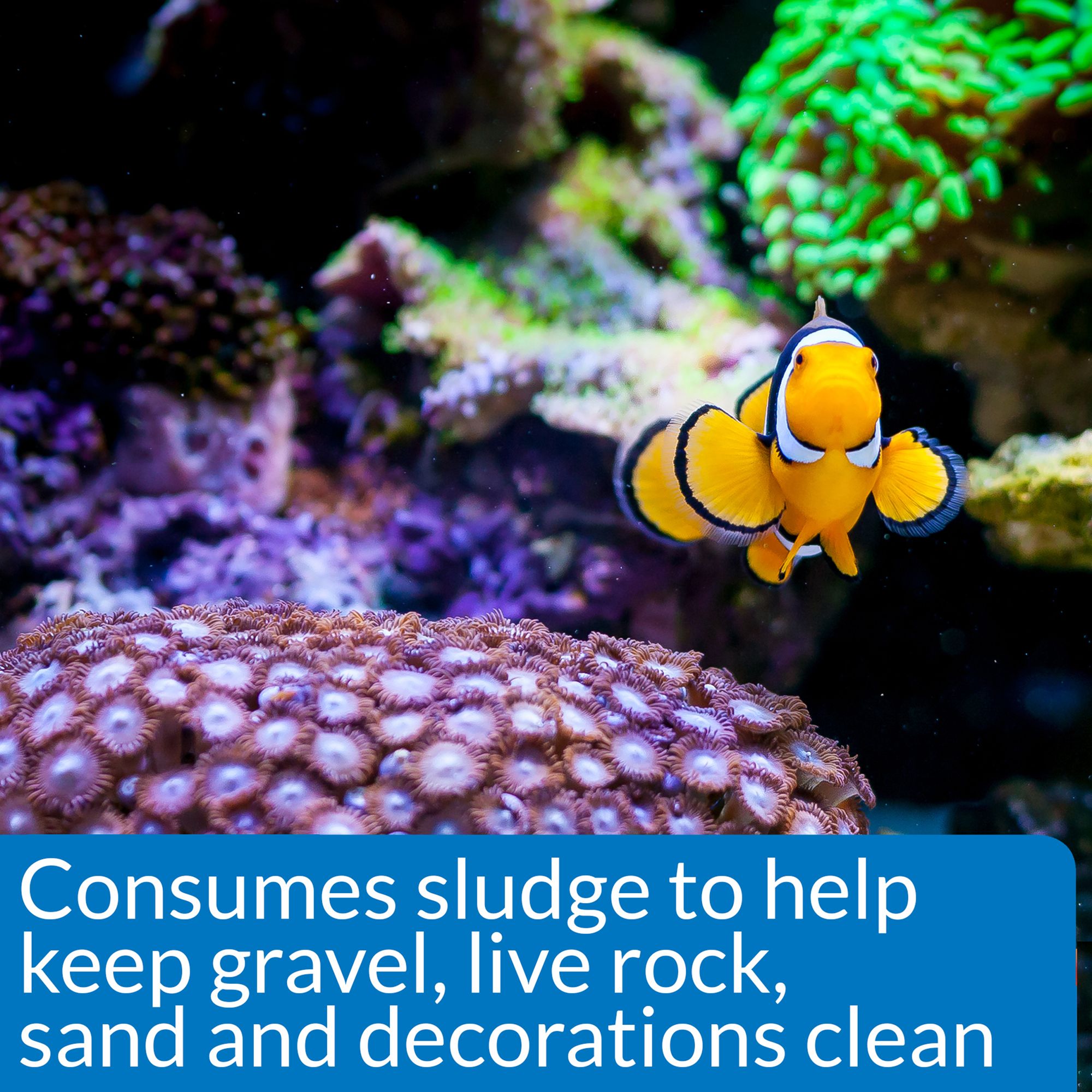 API® Marine Stress Zyme for Saltwater Aquariums - thumbnail 5