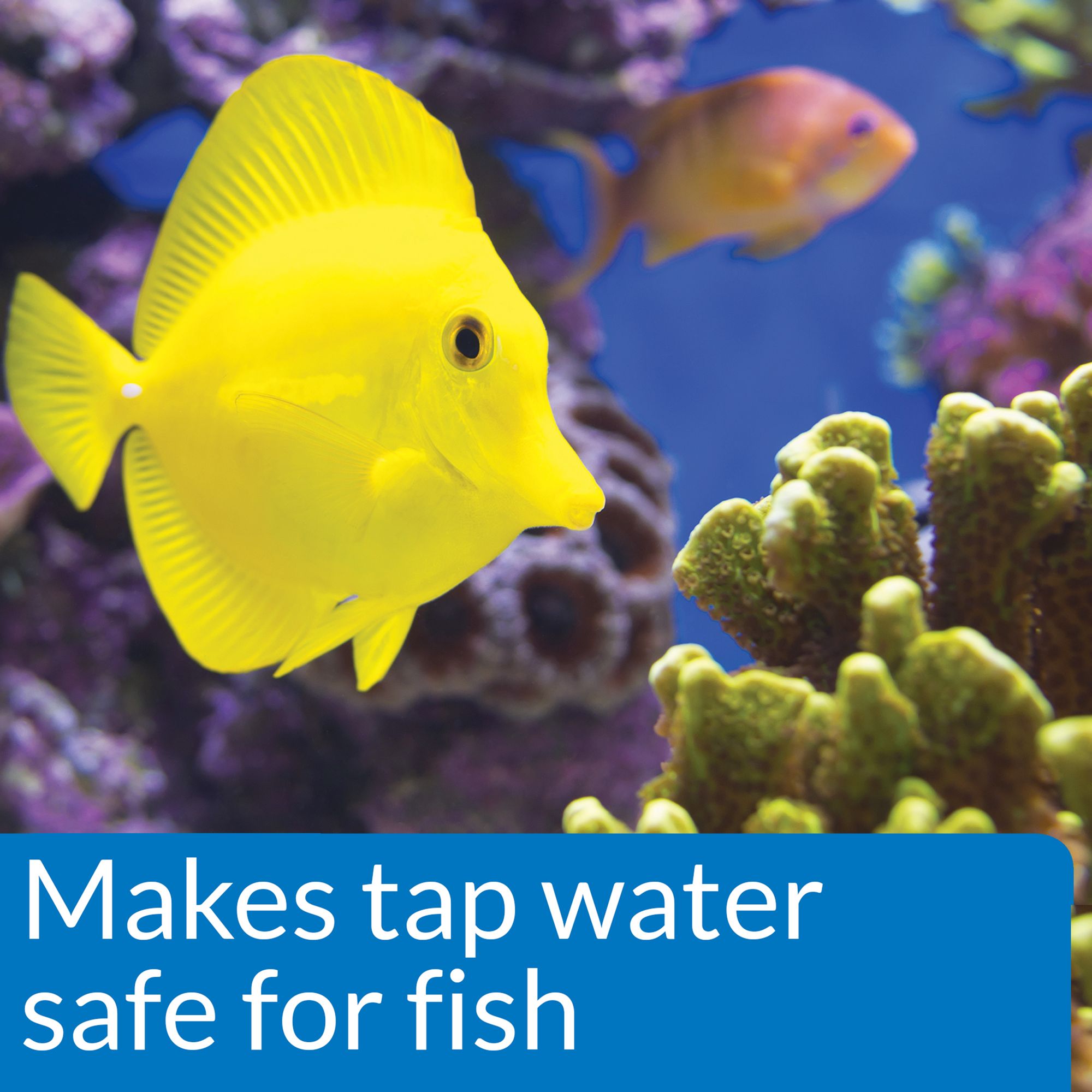API® Marine Quick Start for Saltwater Aquariums - thumbnail 4