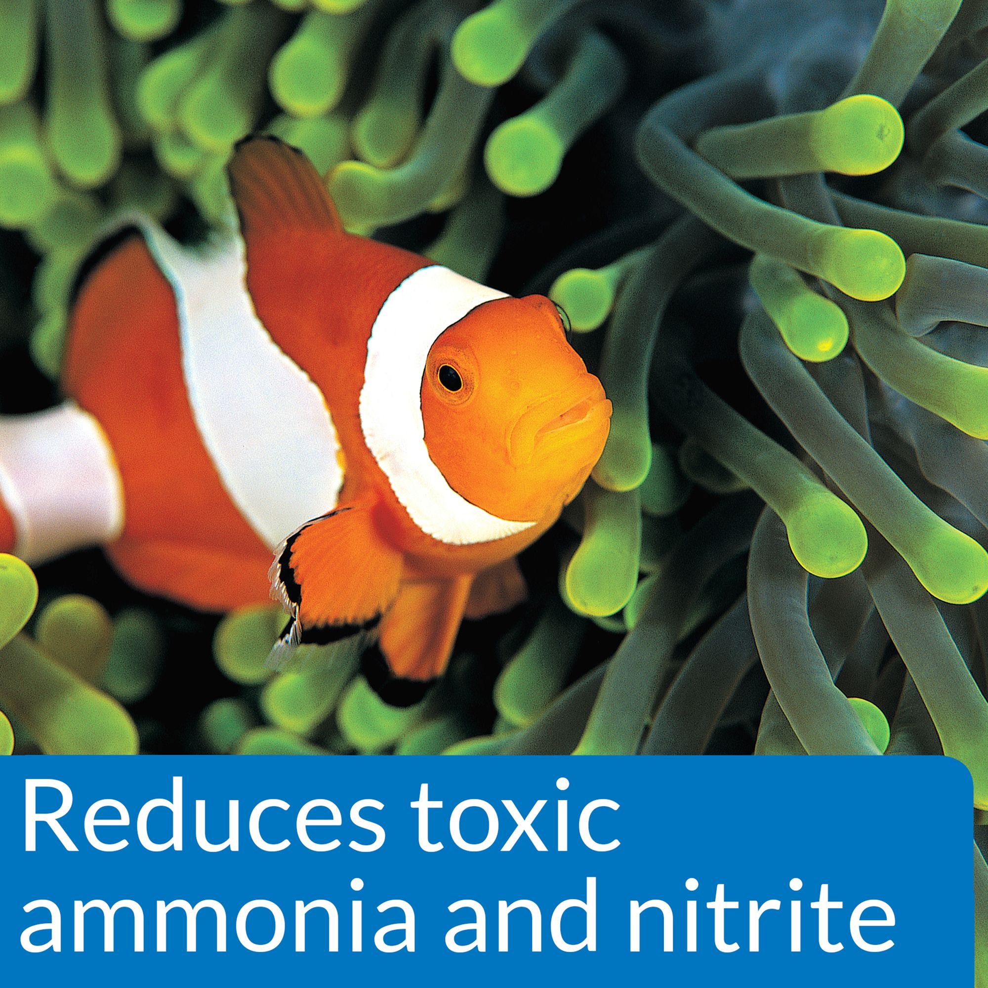 API® Marine Quick Start for Saltwater Aquariums - thumbnail 5