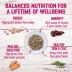Wellness® Petite Entrees Small Breed All Life Stage Wet Dog Food - Natural, Grain Free, Mini-Filets image thumbnail 3