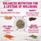 Product Wellness® Petite Entrees Small Breed All Life Stage Wet Dog Food - Natural, Grain Free, Mini-Filets