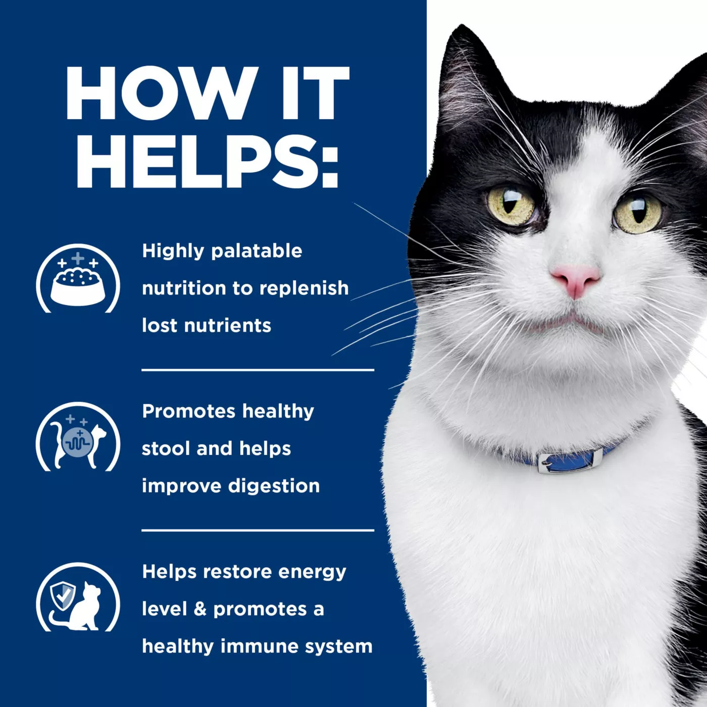 Hill s Prescription Diet i d Digestive Care Cat Food Chicken Vegetable Stew