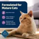 Product Blue Buffalo® Freedom™ Indoor Mature Senior Wet Cat Food - Grain Free, 5.5 Oz.