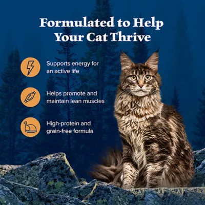 Product Blue Buffalo Wilderness All Life Stages Wet Cat Food - Natural, 5.5 Oz.