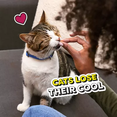 Product Temptations™ Mixups Adult Cat Treats - Soft & Crunchy, Surfers' Delight