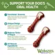 Product WHIMZEES Brushzees Medium Dental Dog Treat - Natural, Grain Free