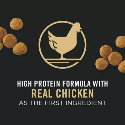 Product Purina Pro Plan Development Puppy Dry Dog Food - Chicken & Rice