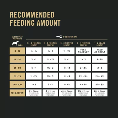 Product Purina Pro Plan Development Puppy Dry Dog Food - Chicken & Rice